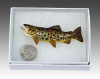 Brown Trout Pin